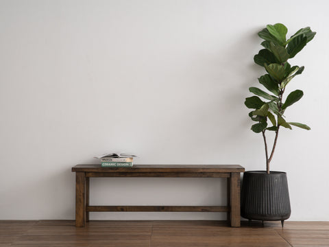 Annata Rustic Bench - Dark Solid Wood showcased in minimalist setting with a potted plant