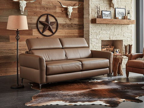 Modern leather sofa in rustic living room - Leather Sofa Buying Guide