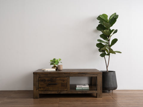 Caro Rustic Coffee Table - Dark Solid Wood with plant decor on wooden floor background