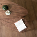Top view of Lorenzo Nesting Coffee Tables Set of 2 with walnut veneer tops, featuring a green vase, cup, and open book.