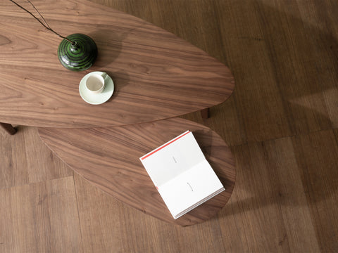 Top view of Lorenzo Nesting Coffee Tables Set of 2 with walnut veneer tops, featuring a green vase, cup, and open book.