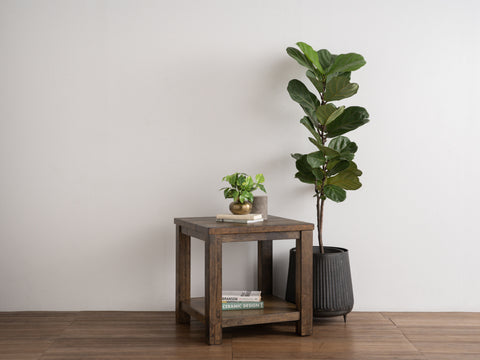 Tino Rustic Side Table - Dark Solid Wood with potted plants in minimalist setting